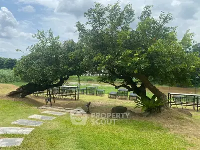 Charming garden with unique tree arch and outdoor seating, perfect for relaxation.