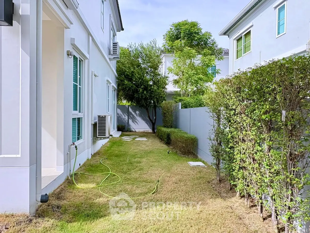 Charming side garden of a modern townhouse with lush greenery and privacy hedges.