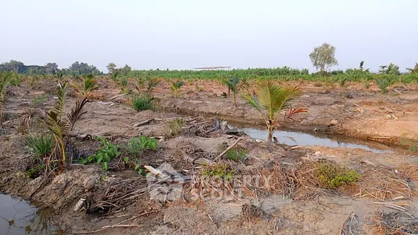 image_rental-21625124