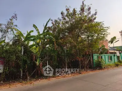 Vacant land with lush greenery and potential for development in a serene neighborhood.