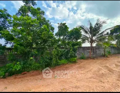 Spacious land plot with lush greenery and palm trees, perfect for development opportunities.