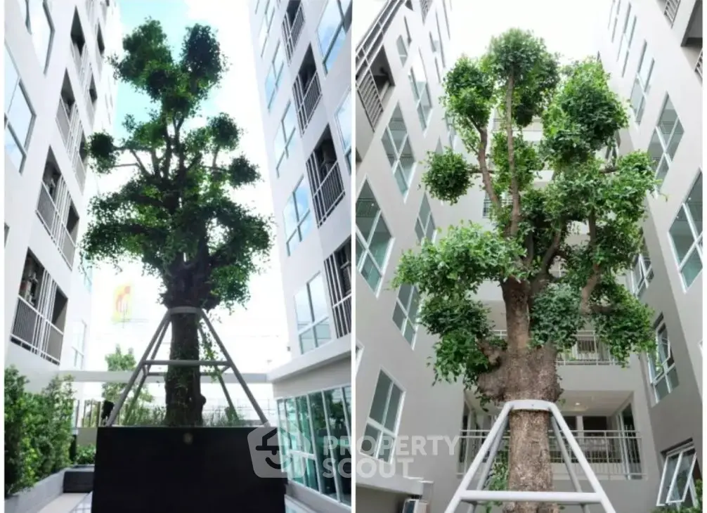 Modern apartment complex courtyard with unique tree centerpiece