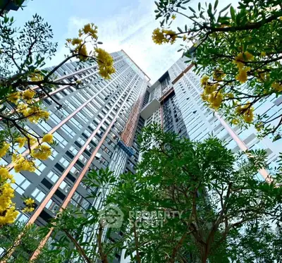 image_rental-30168400