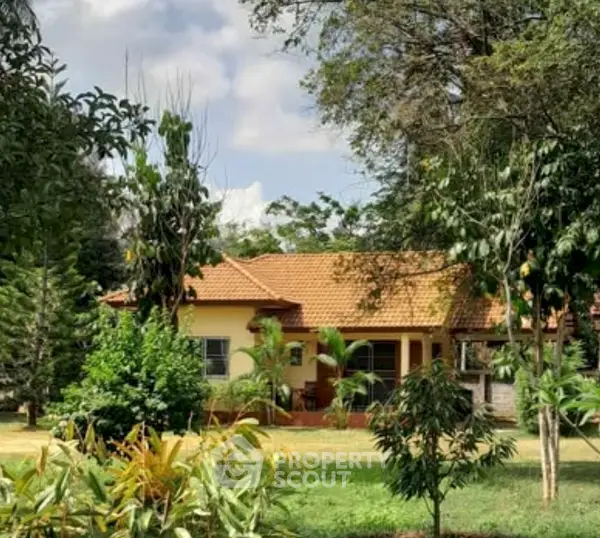 image_rental-31500731