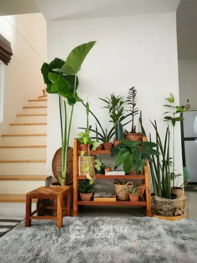 Charming interior with lush indoor plants and wooden furniture, perfect for nature lovers.