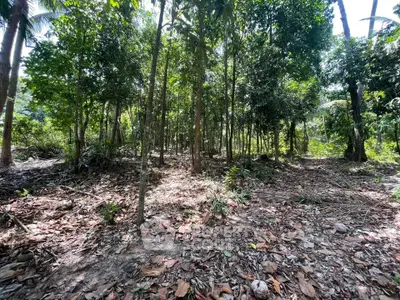 Lush green forested land perfect for eco-friendly development or nature retreat.
