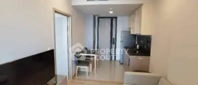 Modern compact apartment interior with open kitchen and cozy living area