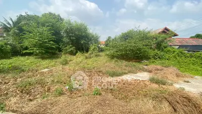 Spacious vacant land with lush greenery, perfect for development opportunities.