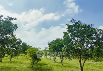 image_rental-29060810