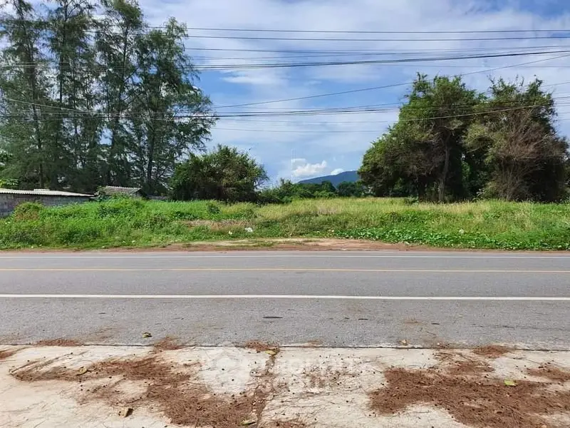 Scenic land plot with road access and lush greenery, ideal for development or investment opportunities.