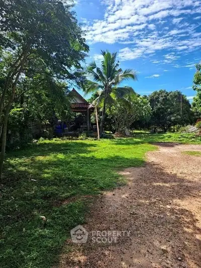 Charming rural property with lush greenery and tropical trees under a bright blue sky.