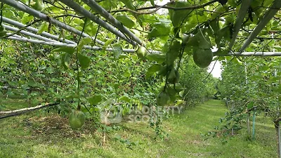 image_rental-17762452
