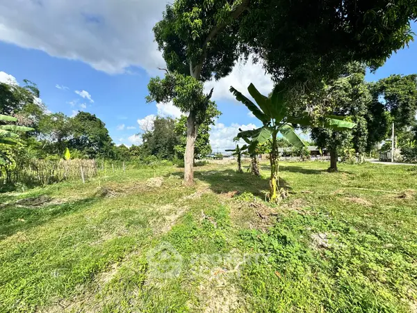 image_rental-21965081