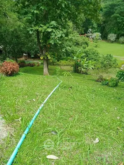 Lush green garden with scenic view and vibrant foliage