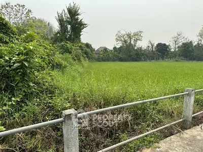 Scenic view of lush green field with distant house, perfect for serene living or development.