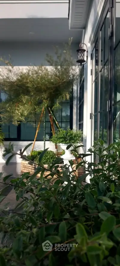 image_rental-27751877