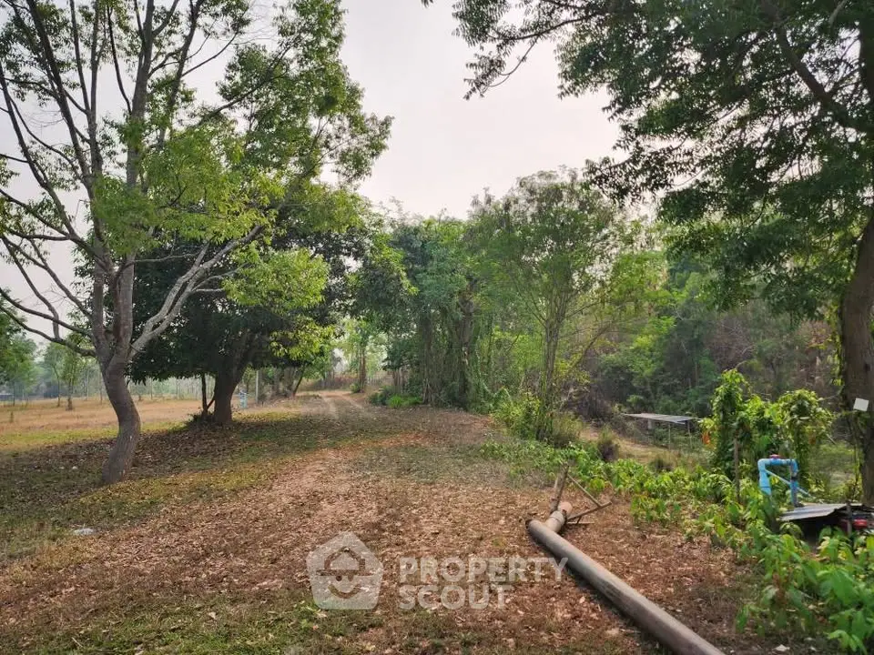 Expansive land plot with lush greenery and mature trees, perfect for development or private retreat.