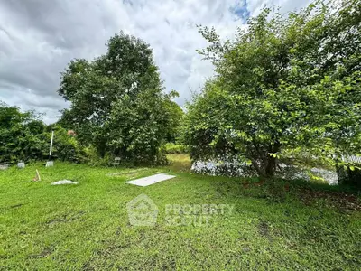 image_rental-31242109