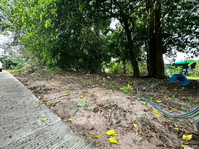 Spacious garden area with lush greenery and potential for landscaping