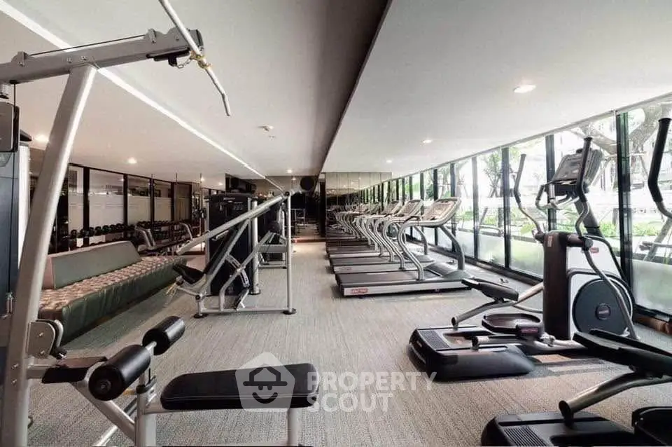 Modern gym with state-of-the-art equipment and large windows offering garden views.