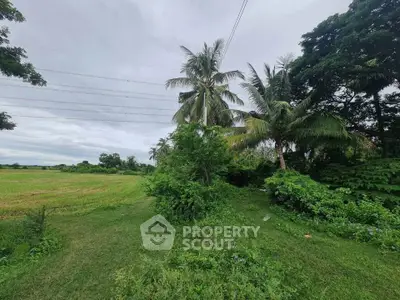 Lush green landscape with palm trees and open field, perfect for serene living.