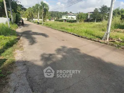 Scenic suburban street with lush greenery and residential homes, ideal for peaceful living.