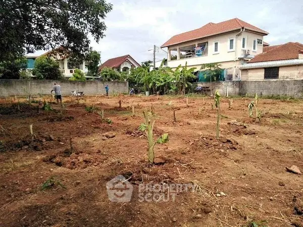 image_rental-30172132