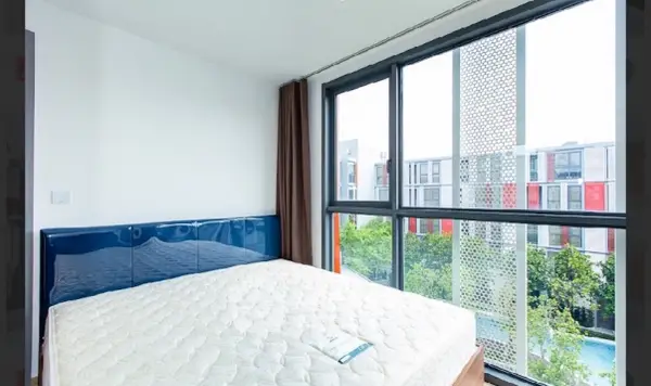 image_rental-30013991