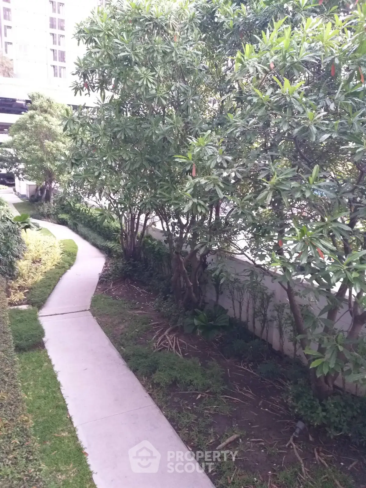 Serene garden pathway with lush greenery in a modern residential complex