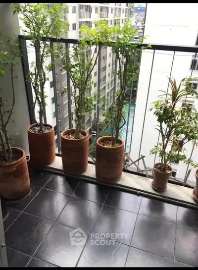 Charming balcony with potted plants and city view, perfect for relaxation.