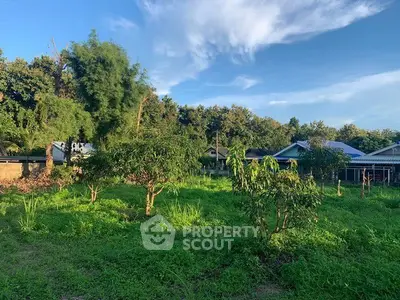 Lush green land with trees and neighboring houses under a clear blue sky, perfect for development.