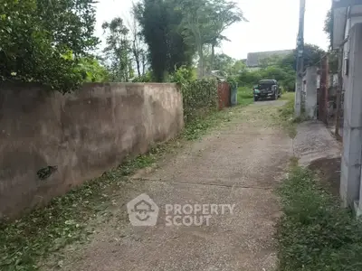 Charming rural driveway leading to a secluded property surrounded by lush greenery.