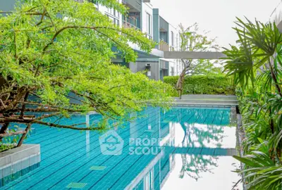 image_rental-30731927