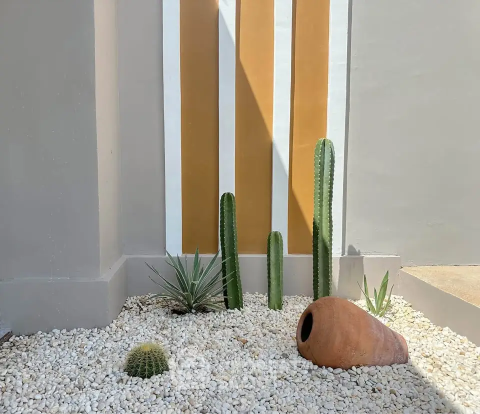 Stylish desert-themed garden with cacti and decorative pot on white pebbles.