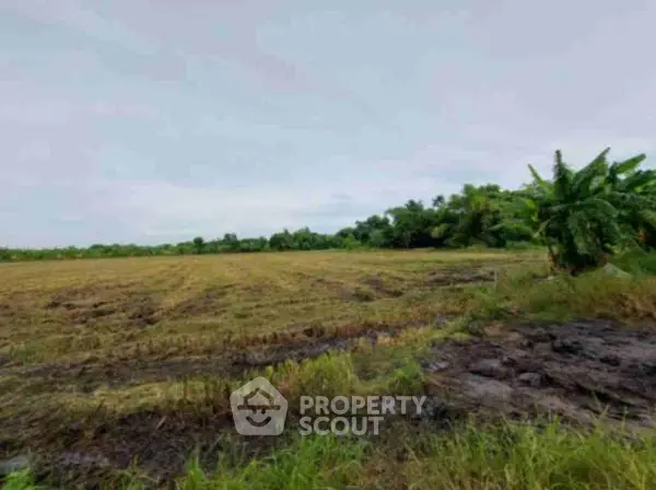 image_rental-22385952