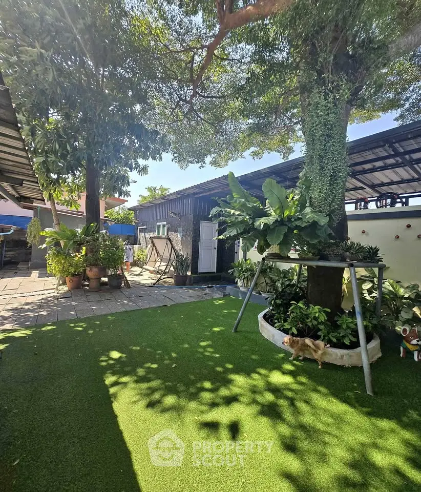 Charming garden with lush greenery and cozy seating area under a large tree.