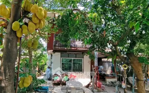 image_rental-31525816