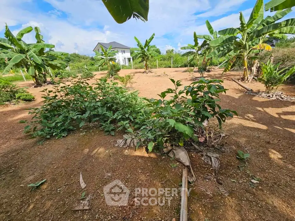 Spacious garden area with lush greenery and distant house view, perfect for nature lovers.