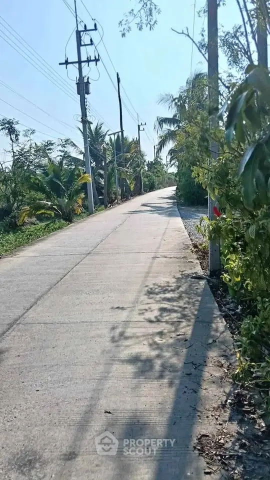Scenic rural road with lush greenery and clear blue sky, perfect for tranquil living.