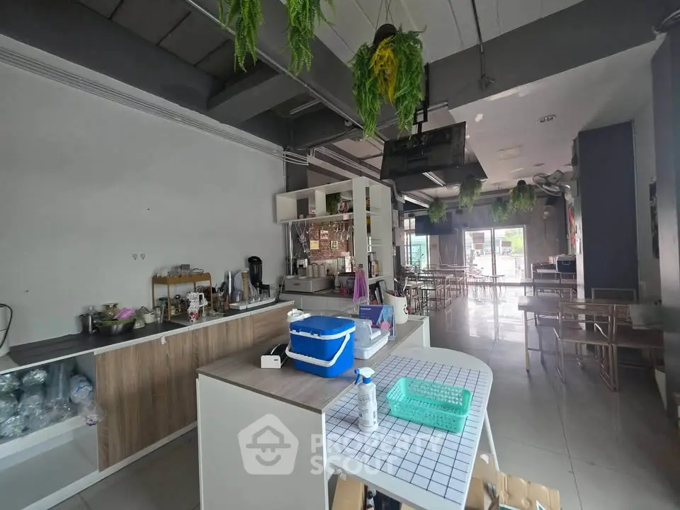 Spacious open-layout kitchen with modern decor and ample natural light, perfect for culinary enthusiasts.