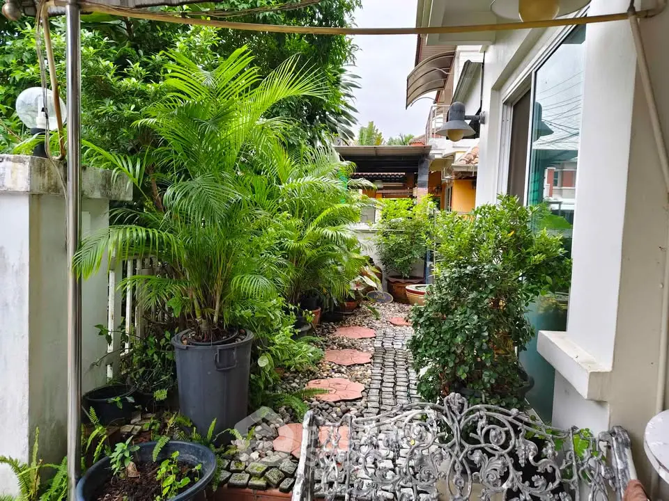 Charming garden pathway with lush greenery and decorative elements in a residential setting.