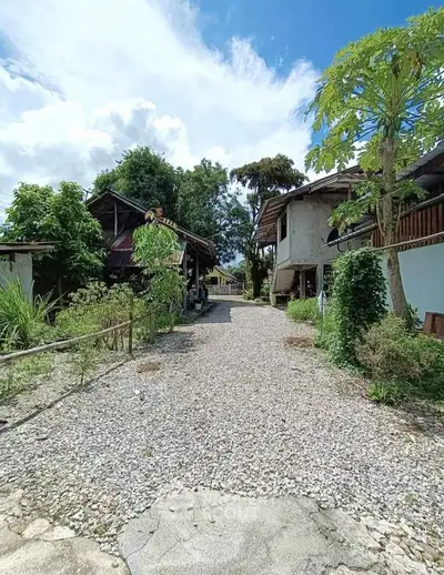 Charming rustic property with lush greenery and gravel pathway under a bright blue sky.
