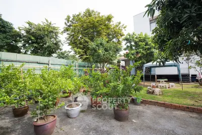 Charming garden with lush greenery and potted plants in a serene residential setting.