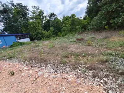 Vacant land plot with lush greenery, ideal for development or investment opportunities.