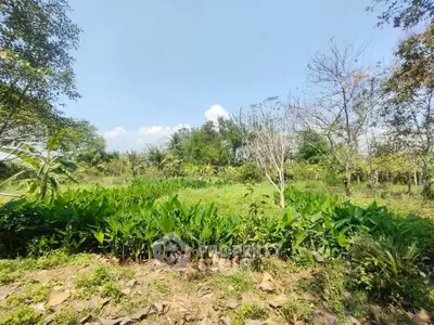 Lush green garden with vibrant foliage under a clear blue sky, perfect for nature lovers.