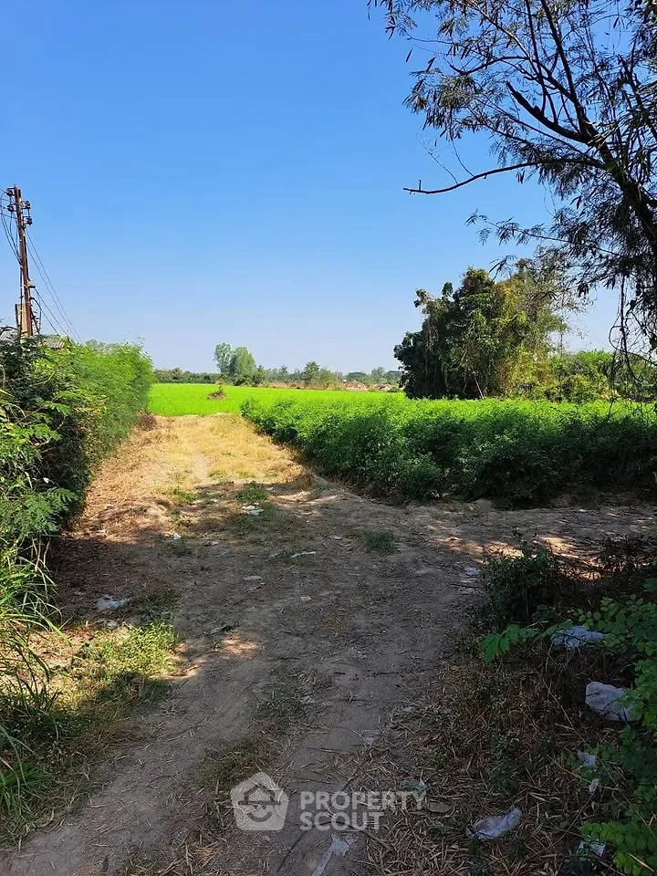 Scenic view of lush green farmland under a clear blue sky, perfect for agricultural investment.
