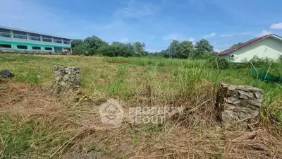 Spacious land plot with lush greenery and potential for development