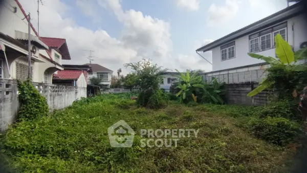 image_rental-30084239