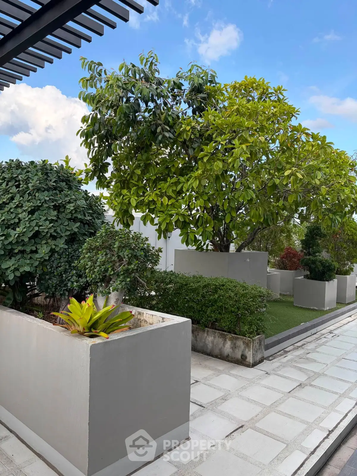 Stunning rooftop garden with lush greenery and modern design elements.