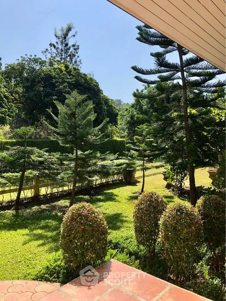 Lush garden view with manicured hedges and tall trees, perfect for nature lovers.